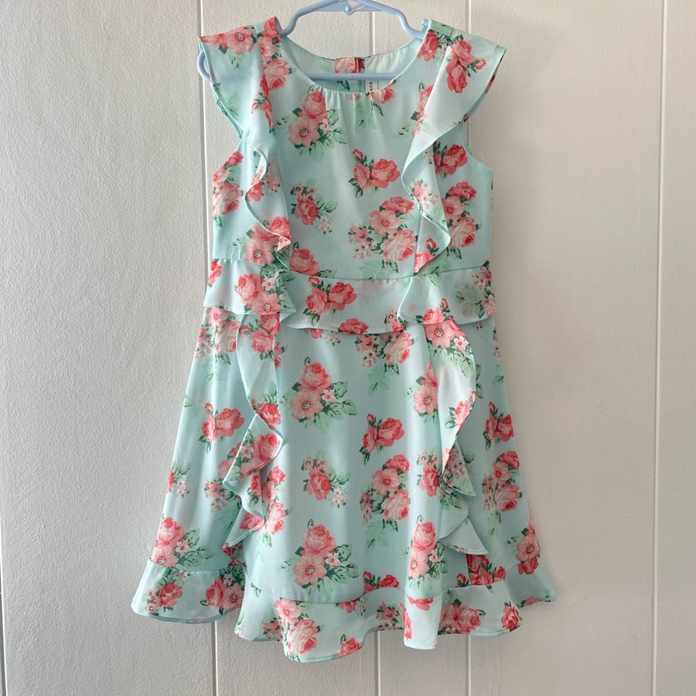 Janie and Jack Rose chiffon ruffle dress